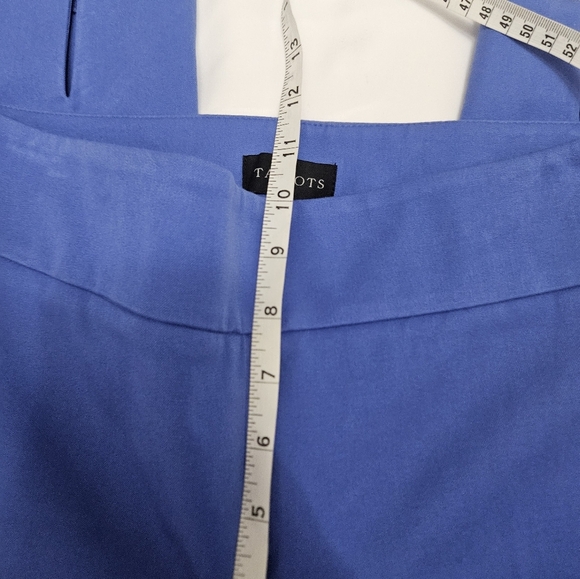 Talbots Blue Chatham Ankle Pants With Side Zip! - Picture 6 of 7